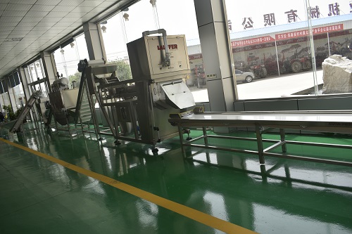 蒜米加工设备 蒜米加工设备